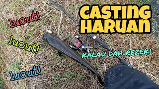 #EP386 Casting/Mengelau Haruan - king of lucut