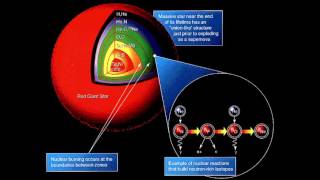 Fermi Paradox 13: Life: A Cosmic Imperative?