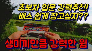 생미끼만큼 강력한 웜! 초보자 입문 추천채비!! 쉴틈없는 입질까지? / 배스낚시