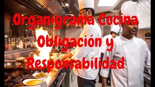 Cuál es la obligación y responsabilidad de cada cocinero?