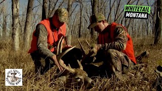 Perfect Shot on a Bruiser Whitetail in Montana