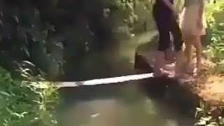 Vidio lucu jatuh dari sungai