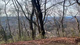 月居城跡の景色