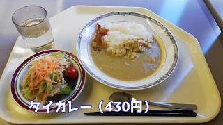 社食 2020年3月　サラメシ