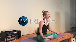 Full 75minute Intermediate Vinyasa guided by Dillan of FreeYogaTV