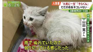 九死に一生 子猫の「そらくん」