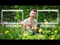 what to plant in june with charles dowding u0026 liz zorab