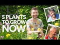 What to Plant in June | with Charles Dowding & Liz Zorab!