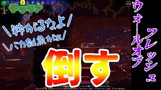 ウォールオブフレッシュとかいう肉壁倒す【テラリアSwitch版】#13