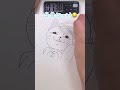 ターボババア 猫 【ダンダダン】を5秒、10秒、1分、5分で描いてみたdrawing turbo in 5sec 10sec 1min 5min dandadan drawing shorts