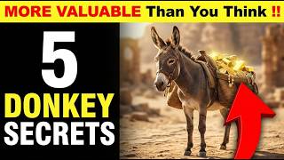 5 Things You Didn't Know About Donkeys