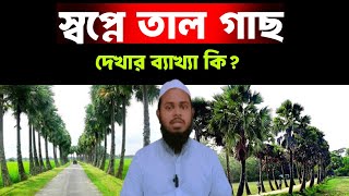 স্বপ্নে তাল গাছ দেখলে কি হয়? | তালগাছ স্বপ্নে দেখার ব্যাখ্যা কি | shopne gach dekhle ki hoy |shopno