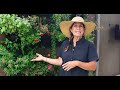 Top Gardening Trends with Suzanne Hetrick