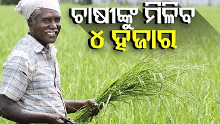 Nuakhai Gift: CM Kisan Yojana Launches Today, Farmers Get Rs 4,000 in Two Installments