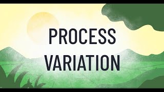 Six-Sigma Process Variation