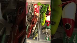 My Fishing Baits🎣 #fishing #shorts #viral #tiktok #youtube