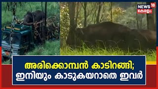 Mission Arikkomban |അരിക്കൊമ്പൻ ദൗത്യം നടന്ന സിമെന്‍റ് പാലത്ത് നിലയുറപ്പിച്ച് കാട്ടാനക്കൂട്ടം|Idukki