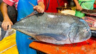 22KG Giant Para Fish Cutting Live In Fish Market | Cutting By Expert Fish Cutter