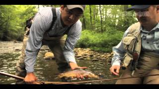 Nantahala Outdoor Center Great Outpost Store in Gatlinburg, TN