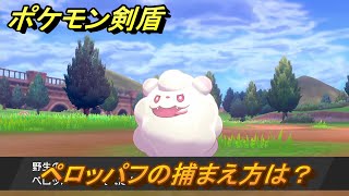 ポケモン剣盾　ペロッパフの出現場所は？オススメの場所は？天気は？ポケモン図鑑コンプへの道！　最新版【ポケモンソード・シールド】