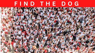 Spot the Hidden Object Challenge: Can You Find It? Find the Hidden Item in Each Picture - 5