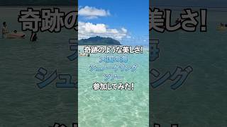 【ハワイ】海の中心に立つ絶景！天国の海サンドバーへ！ウミガメと出会えた♡　#shorts