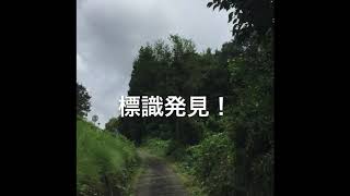 自転車に乗りたくなる動画 国道153号線を行かない香嵐渓サイクリング 豊田市足助地区　サイクリングロード