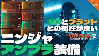 【シーズン11】PC版 Tom Clancy's The Division 2 WoNY　ニンジャ装備（アンブラ×ブラゾス構成）