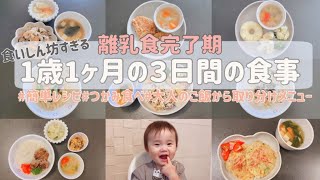 【離乳食完了期】1歳児の3日間の食事メニュー🍽 #だしパック#つかみ食べ#簡単レシピ