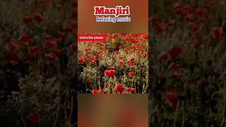 Manjiri Relaxing music-41 #shortfeed #meditation #sleepmusic