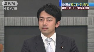 進次郎氏「変わるべきは政治」　TPP対策協議大詰め(15/11/16)