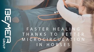 Faster Healing Thanks to Better Microcirculation in Horses