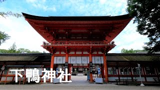 【京都】神社より抹茶かき氷？ 下鴨神社と糺の森【Kyoto】