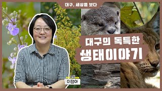 [대세다 시즌3] 내셔널 대구그래픽, 대구에는 어떤 동식물들이 살고 있을까?