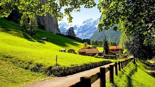 Beautiful Relaxing Music Relieves Stress With Beautiful Nature Videos