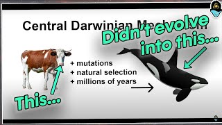 Medical Doctor Tries to Debunk Evolution