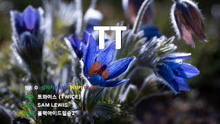 [은성 반주기] 티티(TT) - 트와이스(TWICE)