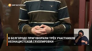 В Белгороде приговорили трёх участников неонацистской группировки