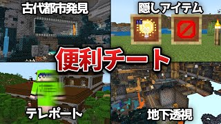 【マイクラ】超便利なコマンド４選【統合版　JAVA版　Switch】