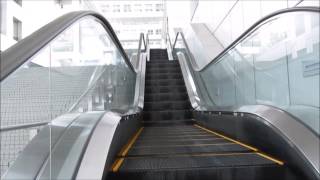 【散策】お台場　フジテレビまでのエスカレーター [Walking] Escalator up to Odaiba Fuji TV