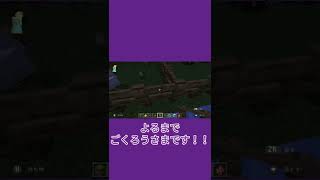 【しーの投稿】パンダをスポーンさせたよ！そしたらね・・・【マインクラフト　マイクラ】　#Shorts