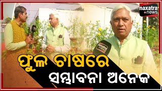 DISHA || ଫୁଲ ଚାଷରେ ସମ୍ଭାବନା ଅନେକ || NAXATRA NEWS