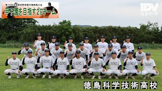 甲子園目指す29チーム　徳島科学技術高校　2023年全国高校野球徳島大会