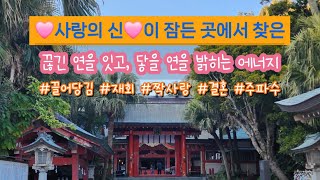 사랑을 부르는 신비의 에너지 🌸 일본 아오시마 신사의 숨겨진 사랑의 힘🩷 연인을 이어주는 기적의 주파수 #재회 #썸 #짝사랑 #결혼 #연애 #인연