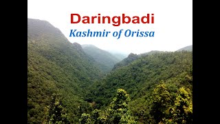 Places to visit Daringbadi hill Station I| Daringbadi the Kashmir of Orissa