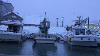 小樽运河船游 2018【冬】Otaru Canal