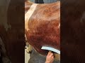 daily simmental bull cleaning routine 🐂✨ satisfying farm life shorts farmlife bull