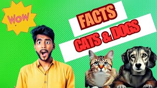 Facts About Cats and Dogs Interesting #facts #cats #dogs #viral