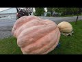 Gigantic Geauga County pumpkins on display at Huntsburg Pumpkin Festival