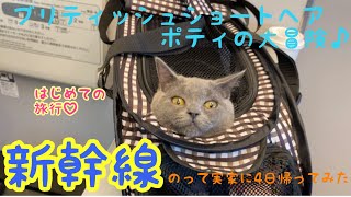 ポティの大冒険♪猫と新幹線乗ってみた。猫を連れて実家に4日間帰省